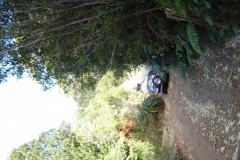 DSC00735