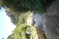 DSC00737