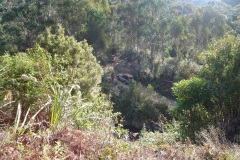 DSC00738