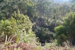 DSC00739