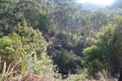 DSC00740