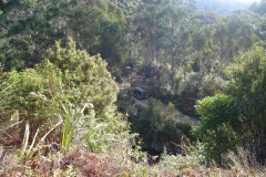 DSC00741