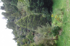 DSC00830