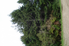 DSC00831