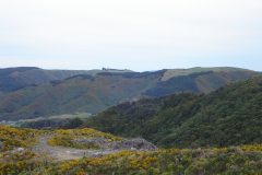 DSC00840