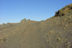 TR09829
