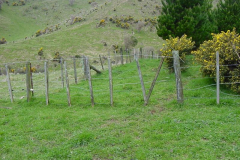 PC00075