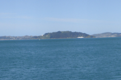 petone2