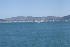 petone3