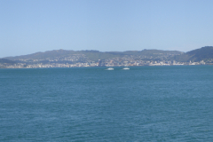 petone4