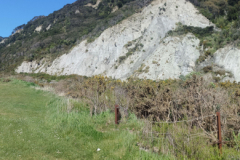 pinnacles