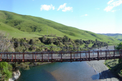 putaruru11
