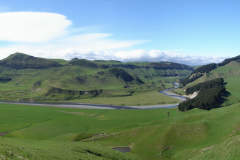 putaruru2