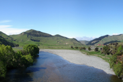 putaruru4