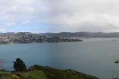 wellington2