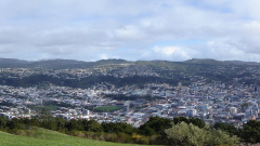 wellington3