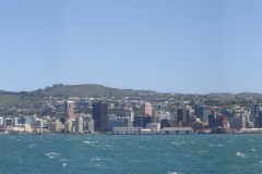 wellingtonfromsomes