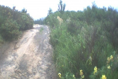 TR03901