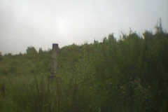TR03907
