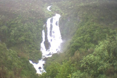 TR03912