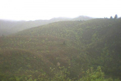 TR03914