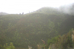 TR03915