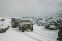 TR07125