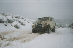 TR07126