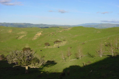 PC00133