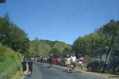 DSC01229