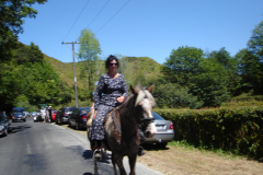 DSC01234
