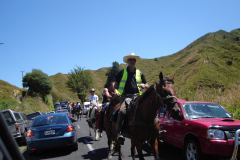 DSC01238